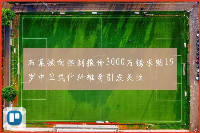 布莱顿向热刺报价3000万镑求购19岁中卫武什科维奇引发关注